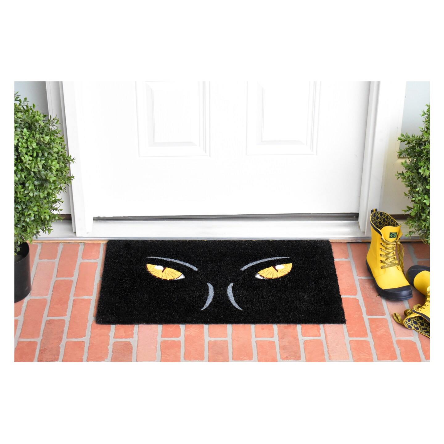 106361729 Watching You Doormat