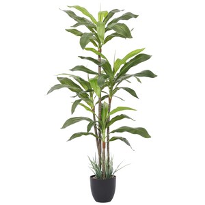 Dracaena Indoor Plant - Faux Plants Indoor, Silk Plants for Home Decor Indoor, Floor Plants for Living Room Decor - Faux Plants Indoor Tall, Floor Plant, Fake Plants for Living Room Decor - 5 Feet