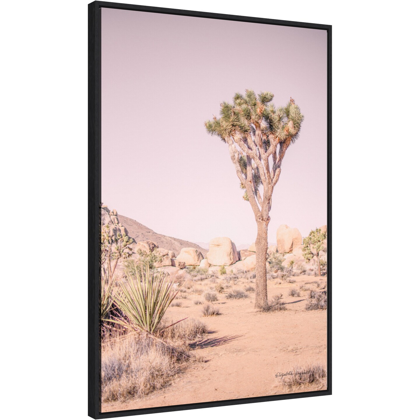 Joshua Tree III Blush by Elizabeth Urquhart Canvas Wall Art Print Framed