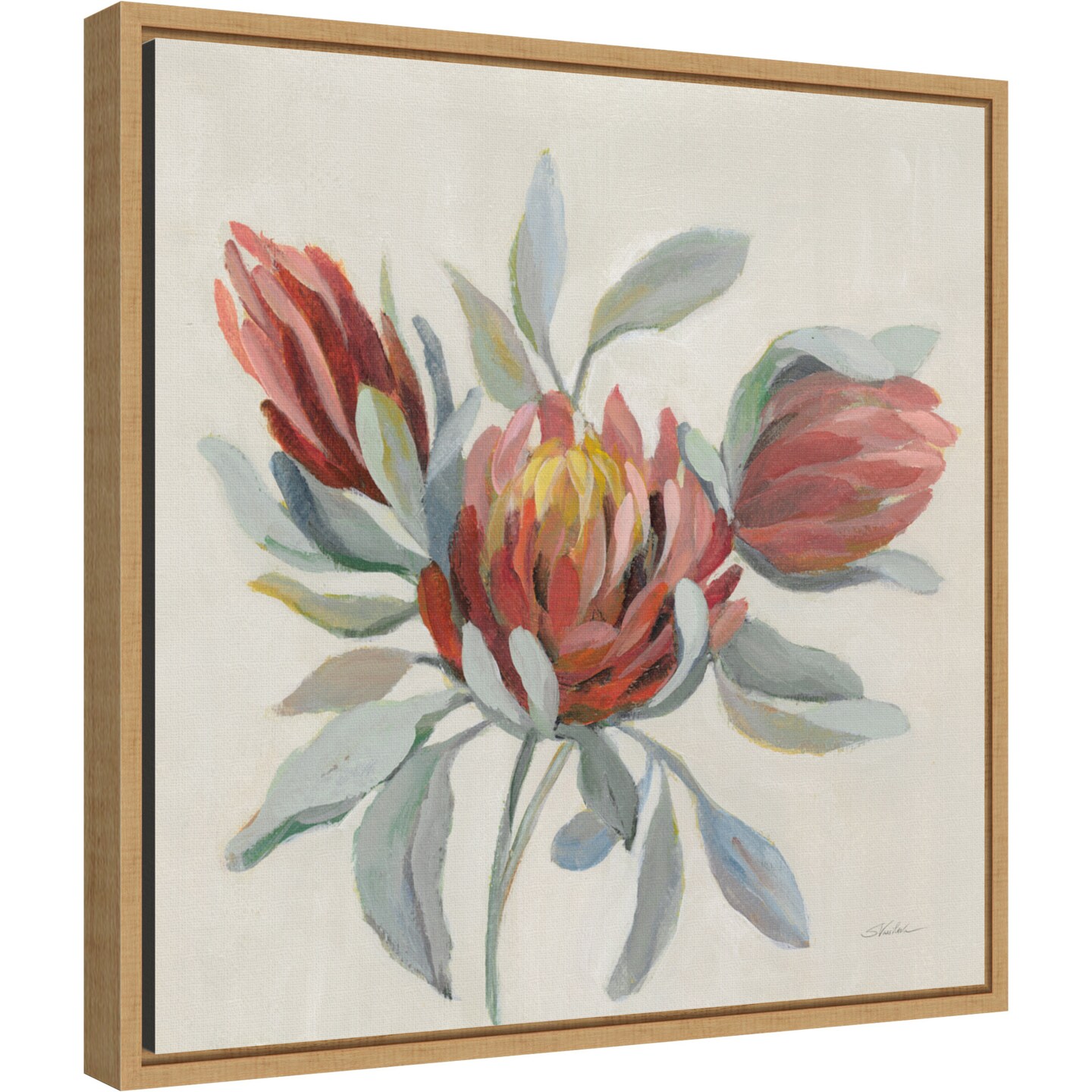 Field Bloom I by Silvia Vassileva Canvas Wall Art Print Framed