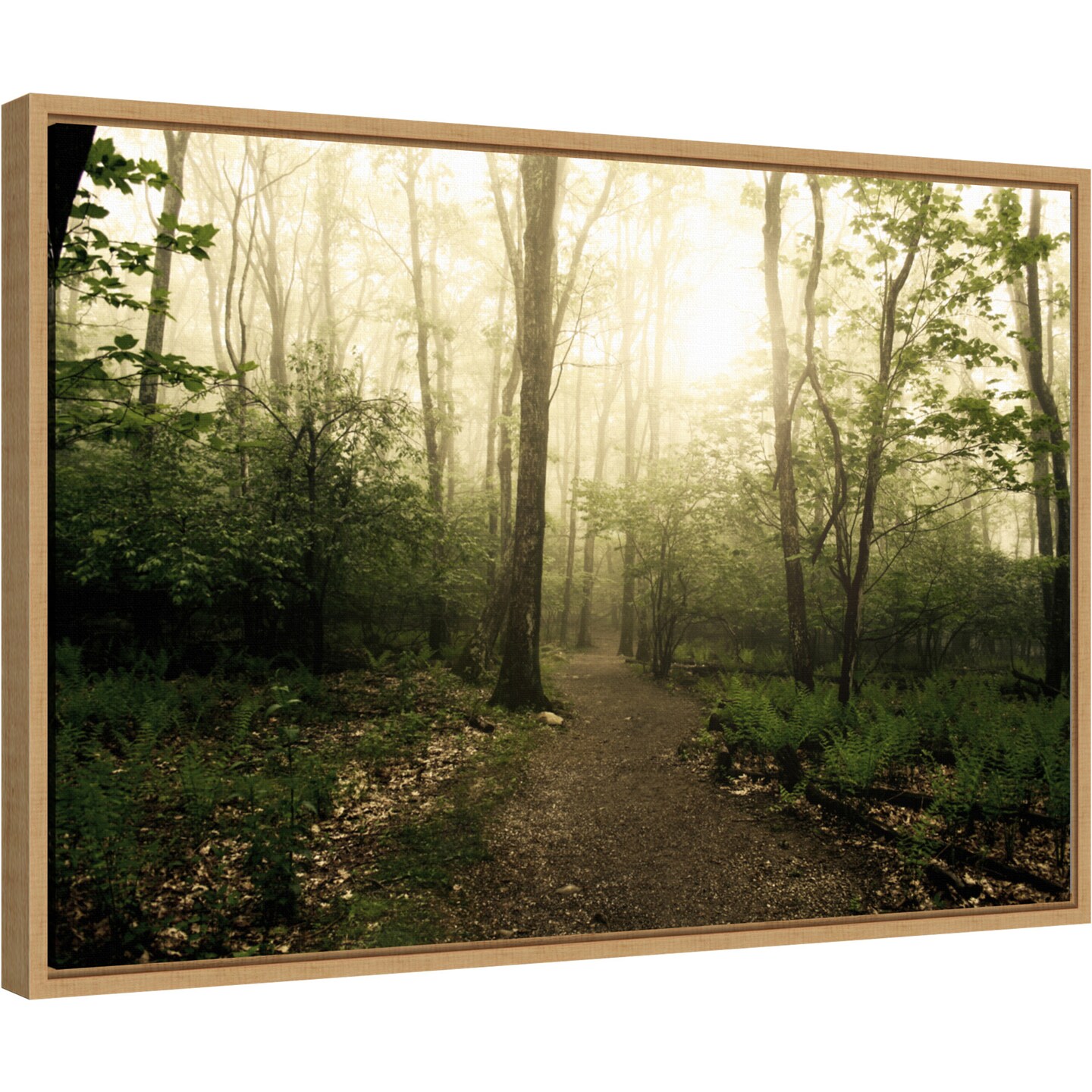 Appalachian Trail by Andy Magee Canvas Wall Art Print Framed