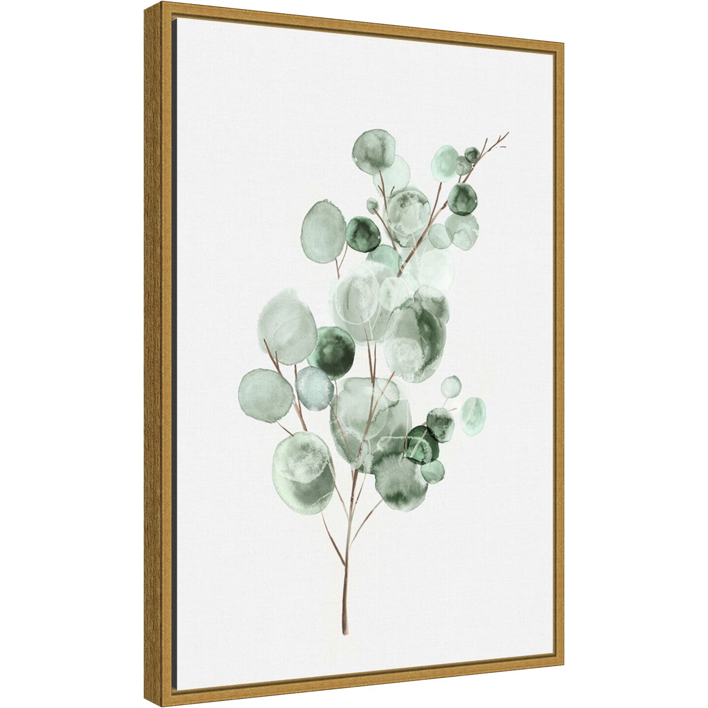 Tender Sprout II (Eucalyptus) by Eva Watts Canvas Art Framed