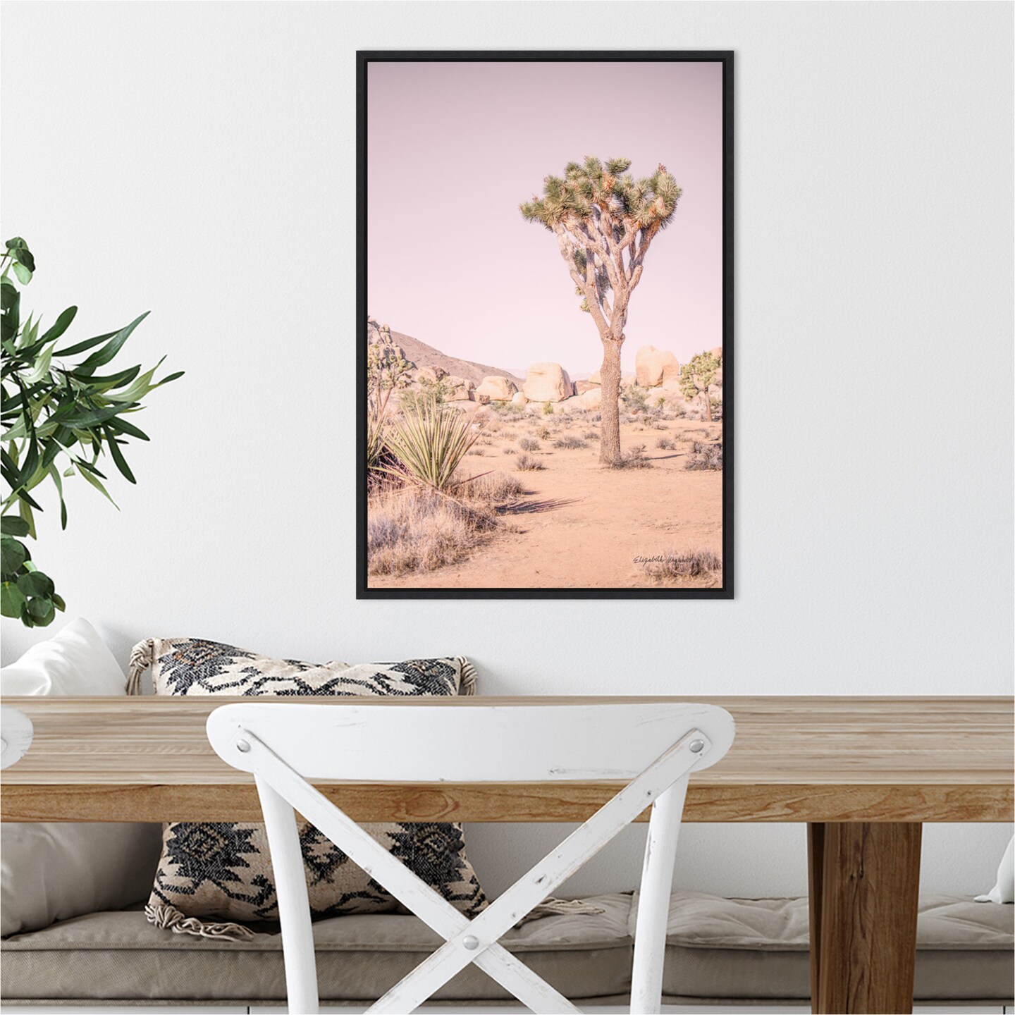 Joshua Tree III Blush by Elizabeth Urquhart Canvas Wall Art Print Framed