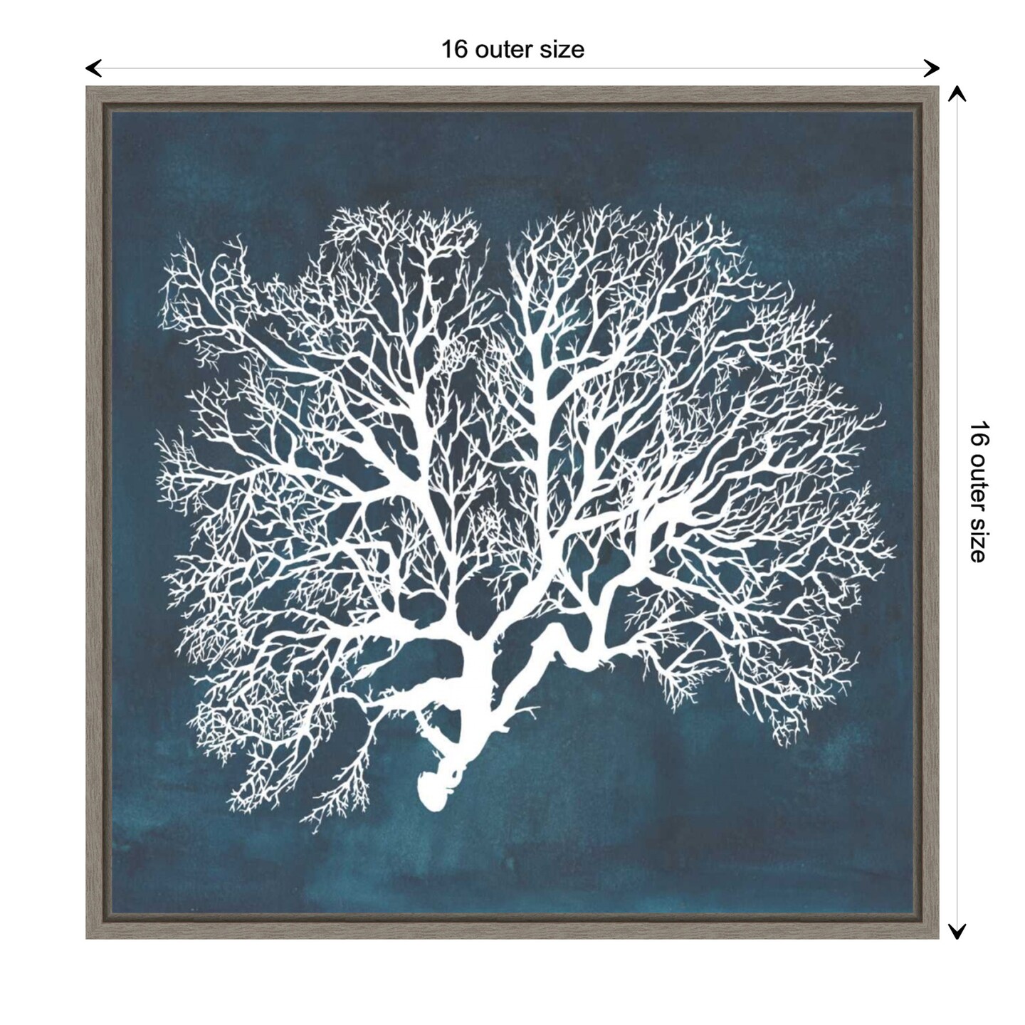 Inverse Sea Fan Coral III by Grace Popp Canvas Wall Art Print Framed