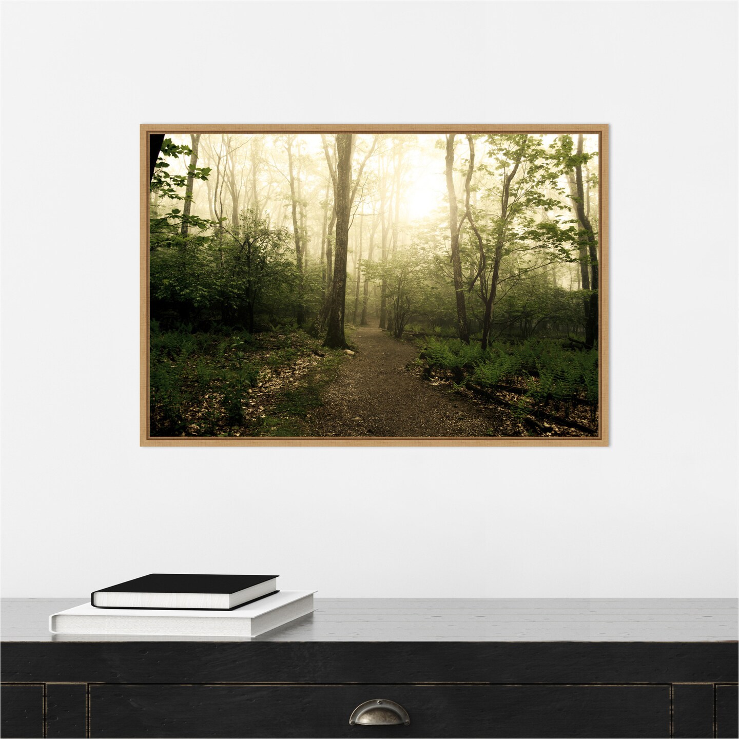 Appalachian Trail by Andy Magee Canvas Wall Art Print Framed