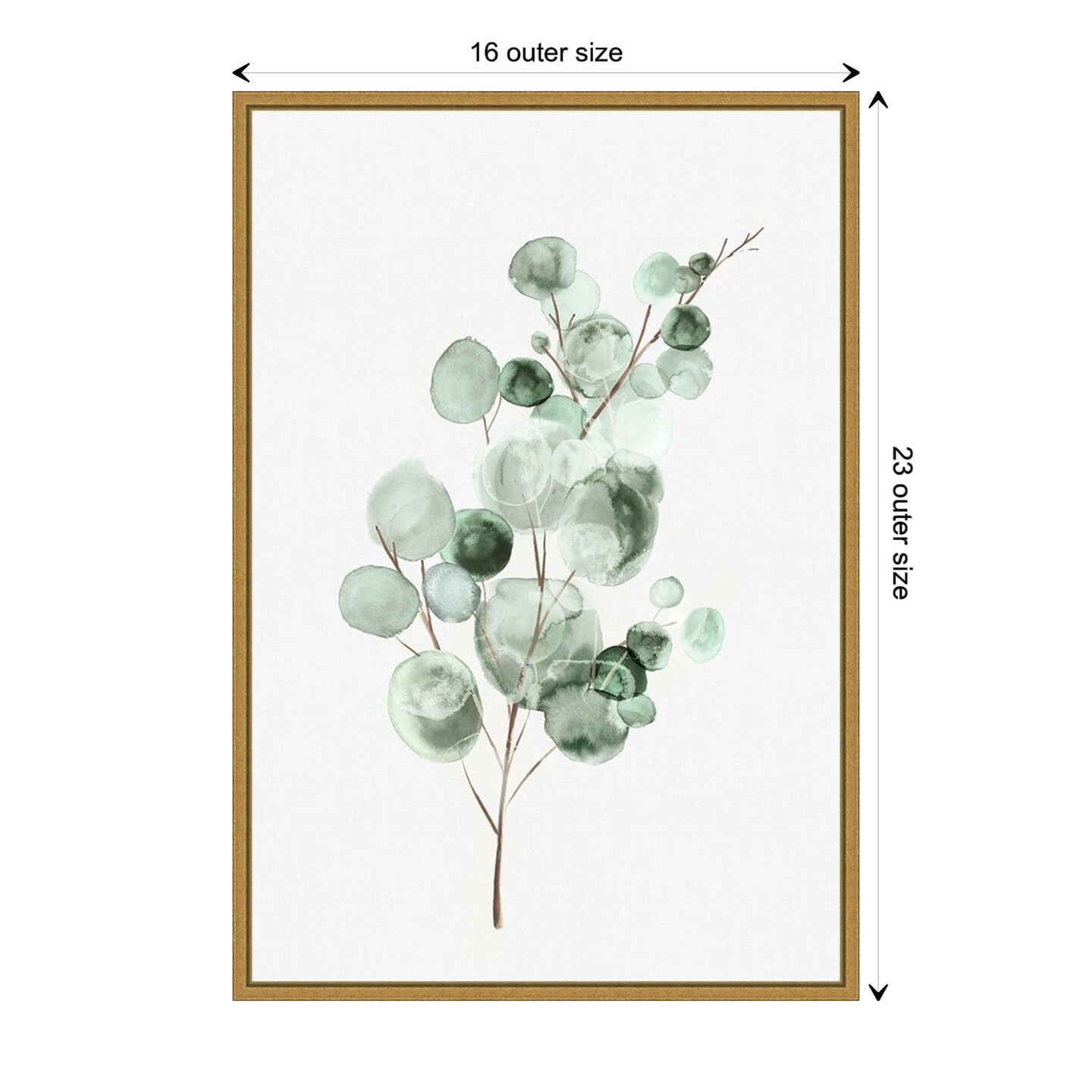 Tender Sprout II (Eucalyptus) by Eva Watts Canvas Art Framed