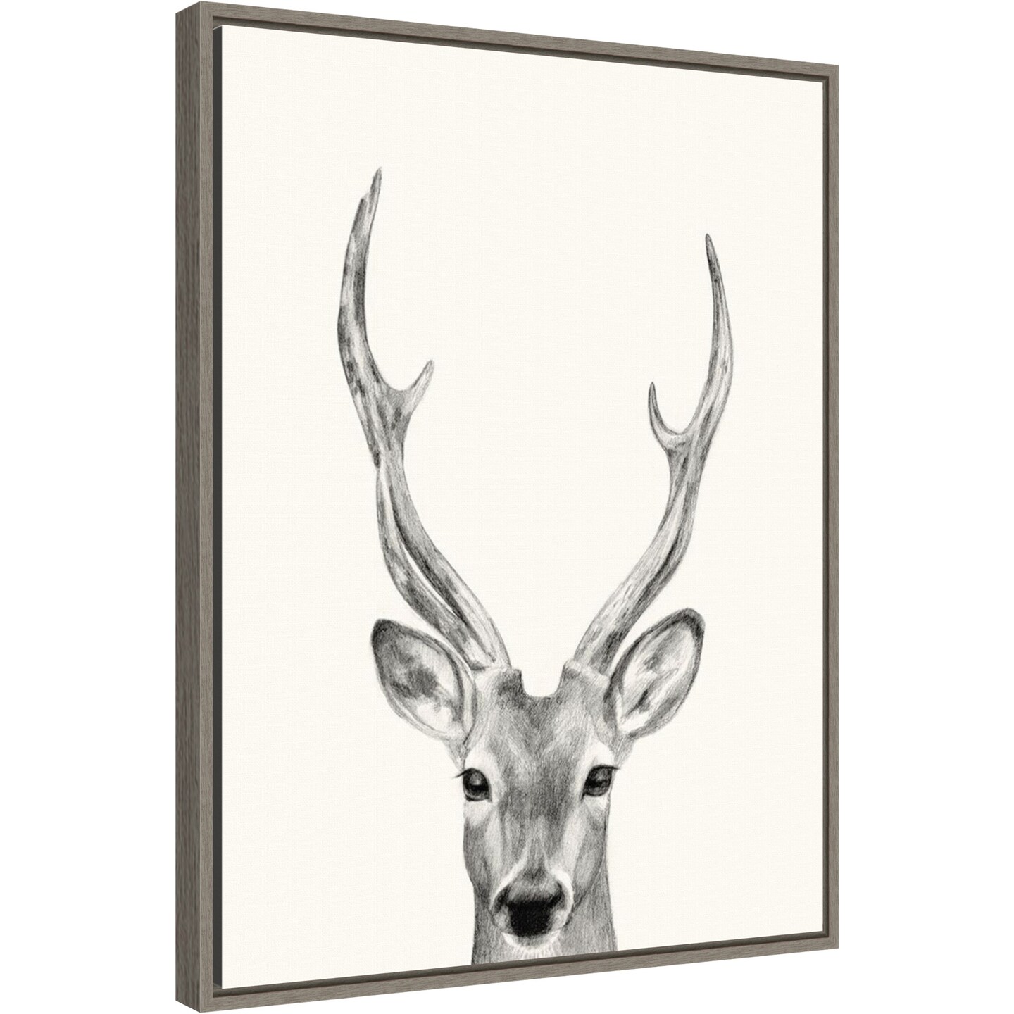 Animal Mug Iv (deer) By Victoria Borges Canvas Wall Art Print Framed 