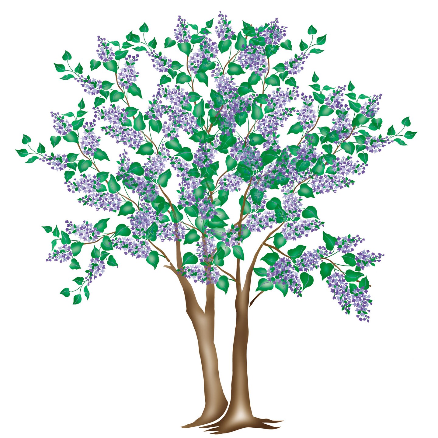 Small Lilac Tree-Shrub Wall Stencil | 2475 by Designer Stencils | Animal & Nature Stencils | Reusable Art Craft Stencils for Painting on Walls, Canvas, Wood | Reusable Plastic Paint Stencil for Home Makeover | Easy to Use & Clean Art Stencil