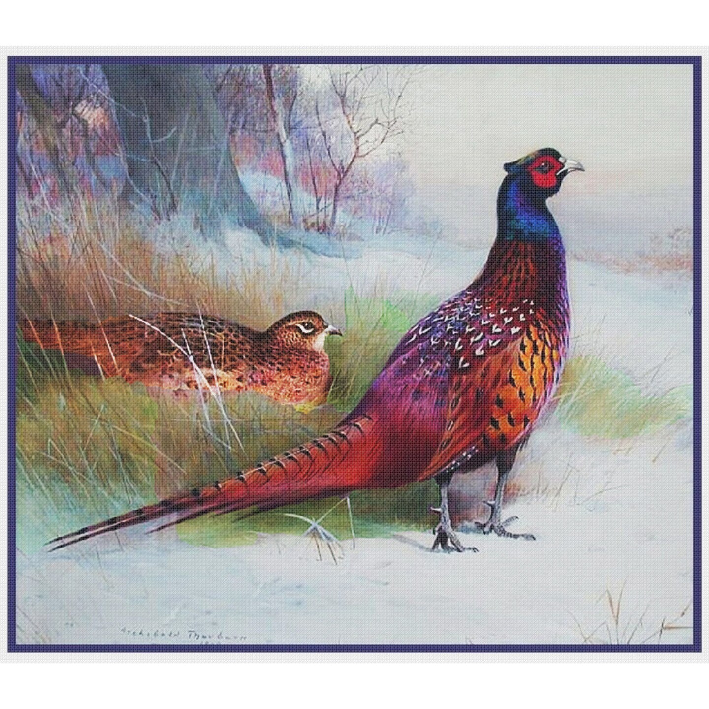 Old English Pheasant Bird By Archibald Thorburn Counted Cross Stitch Pattern