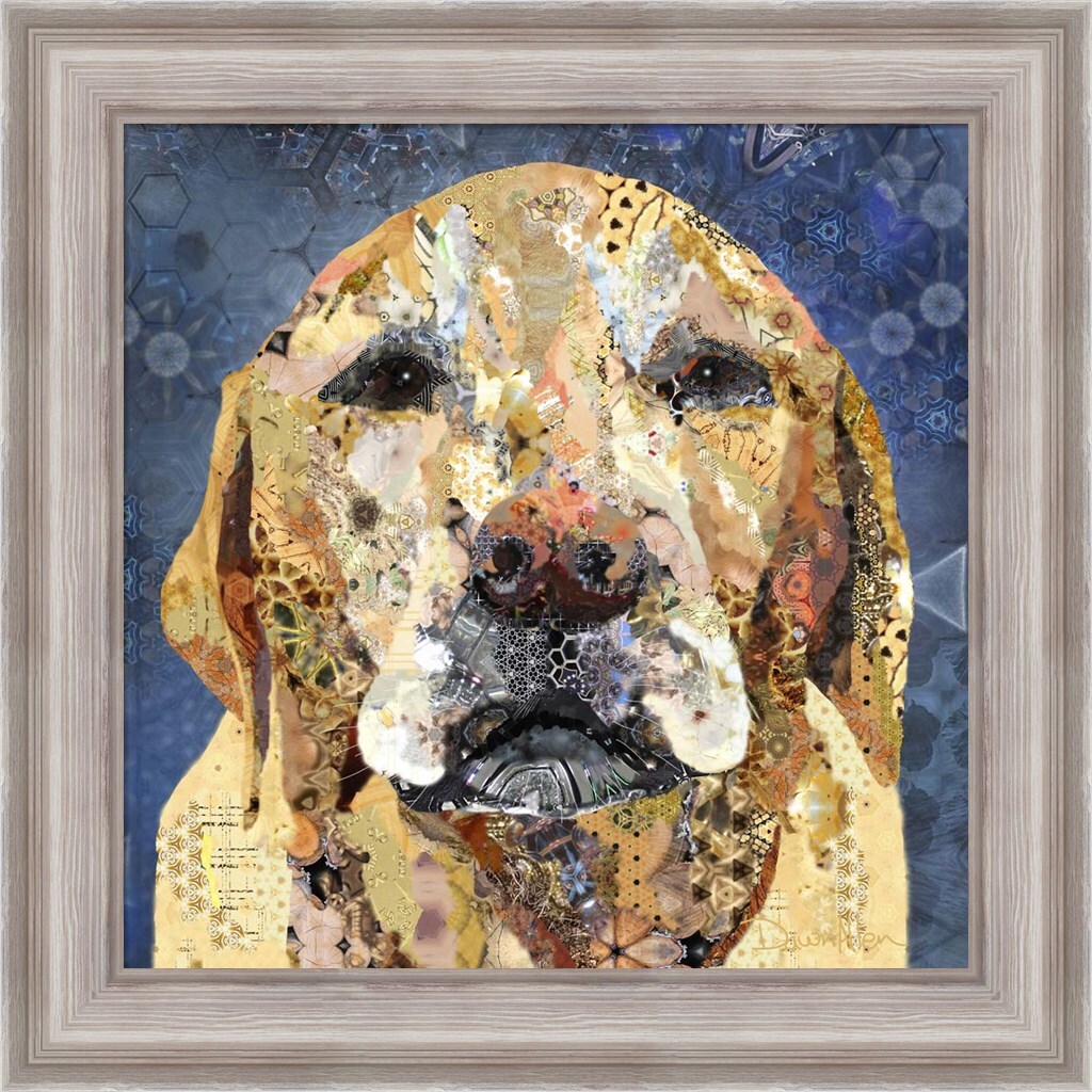Older Yellow Lab by Dawn Allen 20" x 20" Framed Wall Art Framed Art