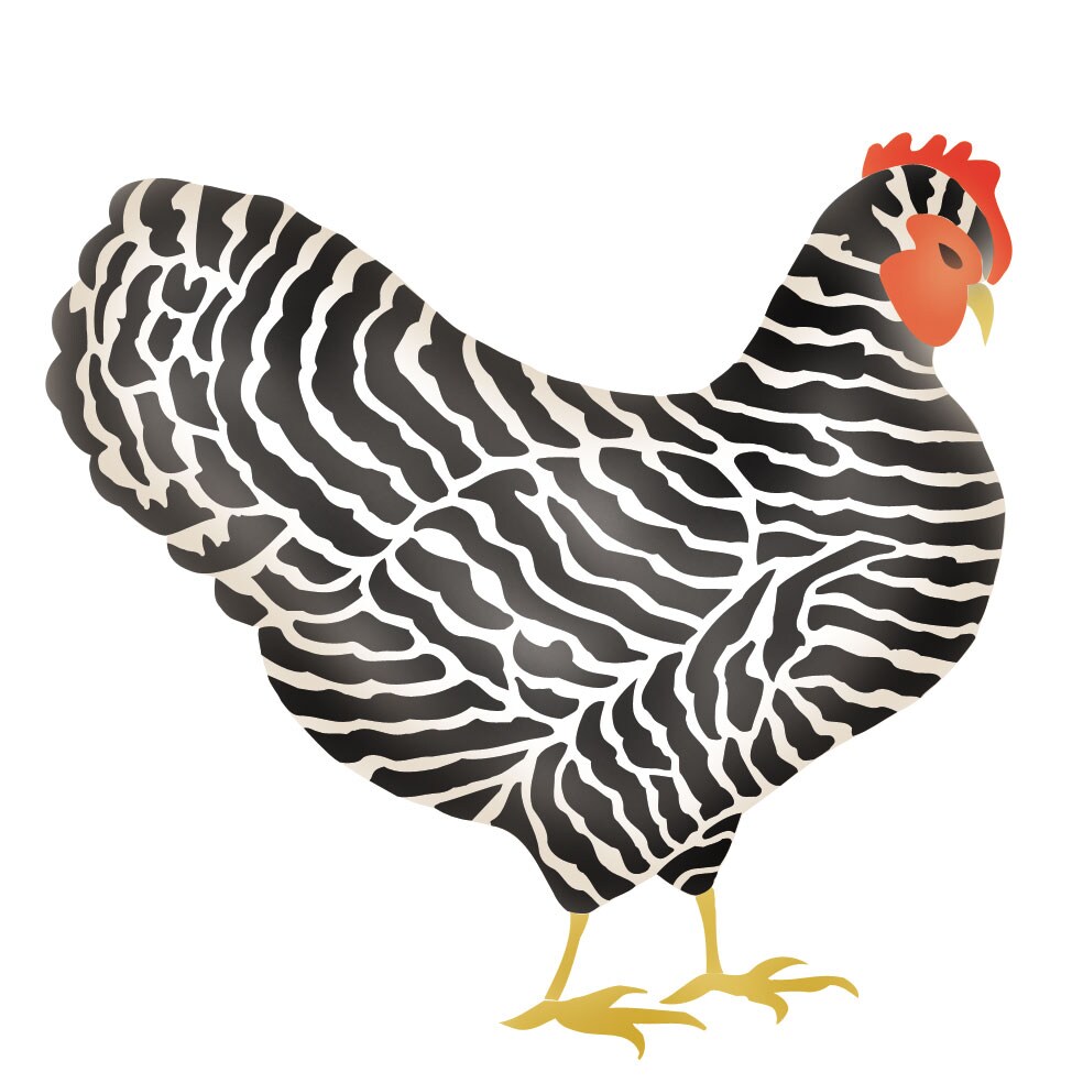 Zebra Chicken Wall Stencil | 2509 by Designer Stencils | Animal &#x26; Nature Stencils | Reusable Art Craft Stencils for Painting on Walls, Canvas, Wood | Reusable Plastic Paint Stencil for Home Makeover | Easy to Use &#x26; Clean Art Stencil
