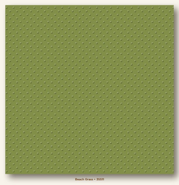 Beach Grass Mini Dots My Colors Cardstock - Photoplay