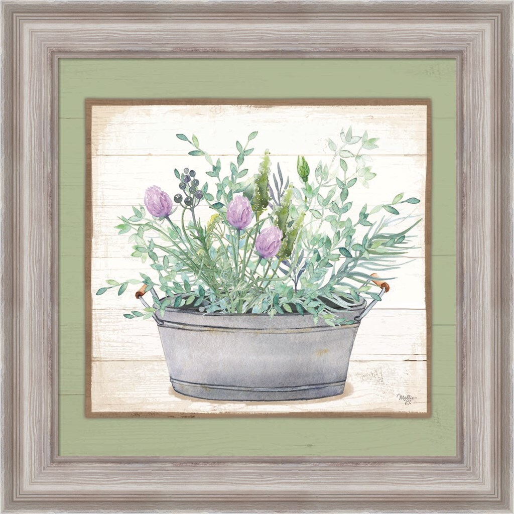 Pot Of Herbs I By Mollie B. 20" X 20" Framed Wall Art | Framed Art ...