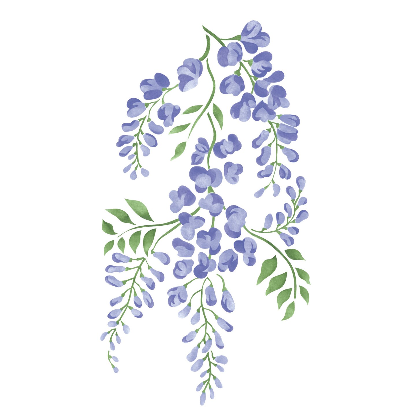 Wisteria Wisp Wall Stencil | 1808 by Designer Stencils | Floral Stencils | Reusable Art Craft Stencils for Painting on Walls, Canvas, Wood | Reusable Plastic Paint Stencil for Home Makeover | Easy to Use &#x26; Clean Art Stencil