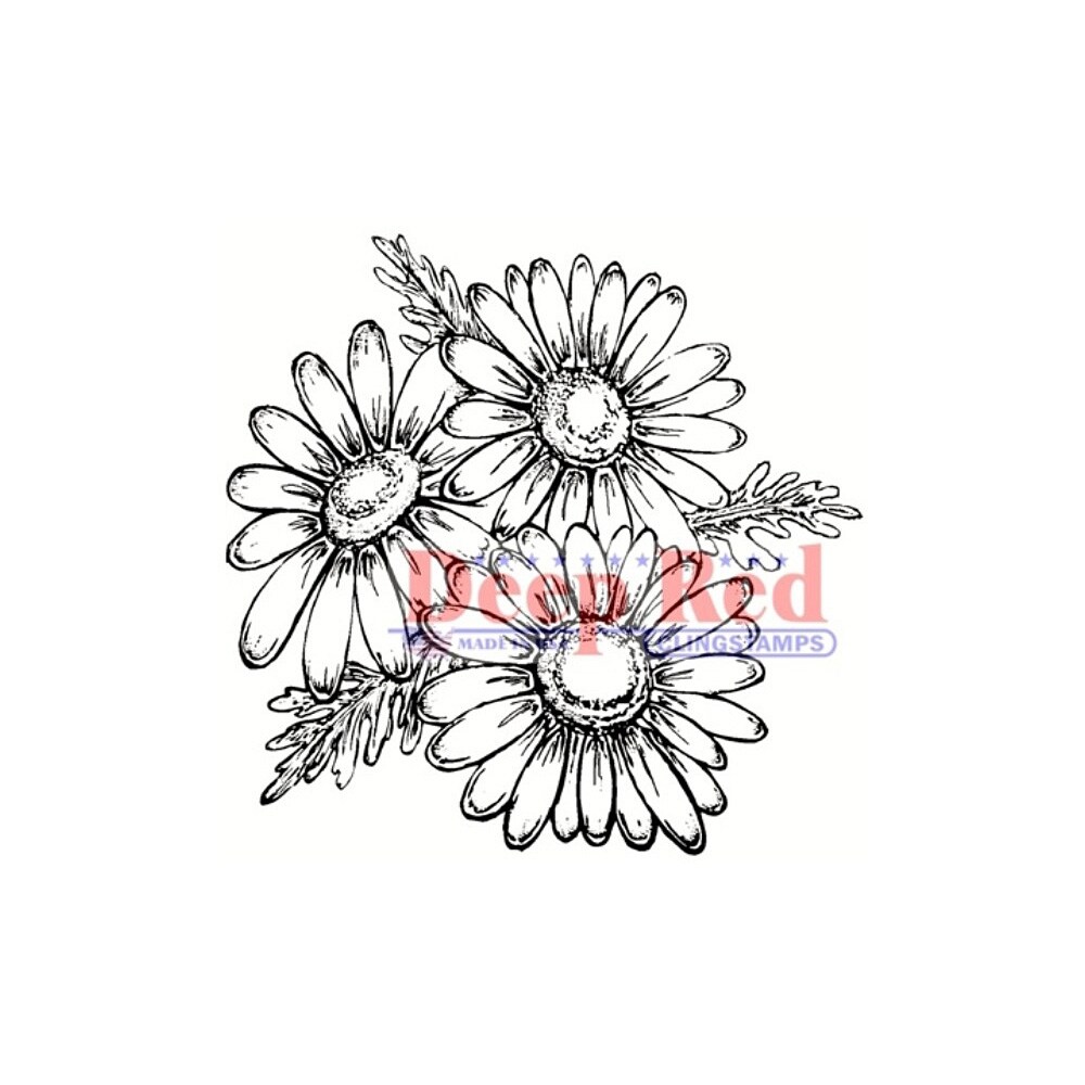 Deep Red Stamps Daisies Rubber Cling Stamp 2 x 2 inches