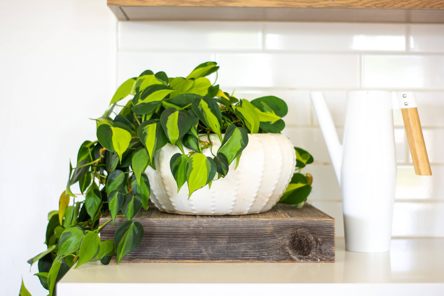 Rustic Farmhouse Decorative 15 in. x 15 in. Solid Reclaimed Wooden Display Riser/Stand