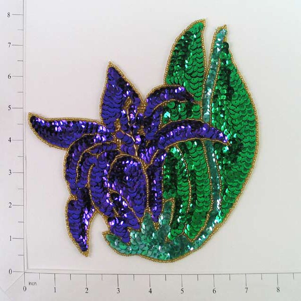 mardi gras patch sweatshirt