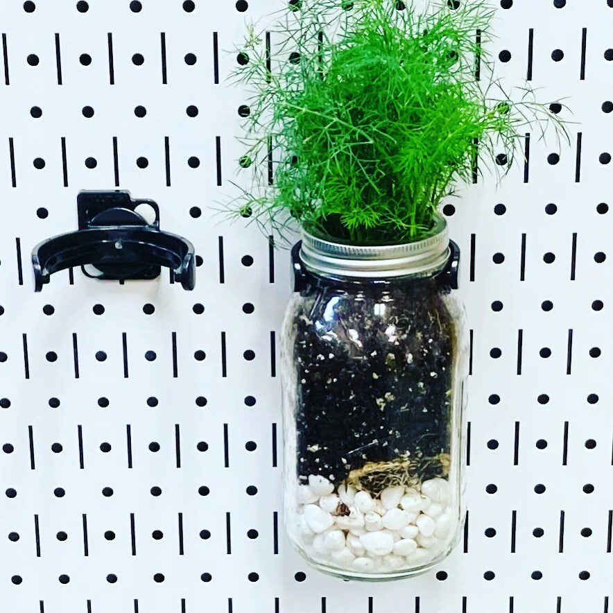 Pegboard jars, storage and organization system includes 12 plastic jars, also holds standard mason jars