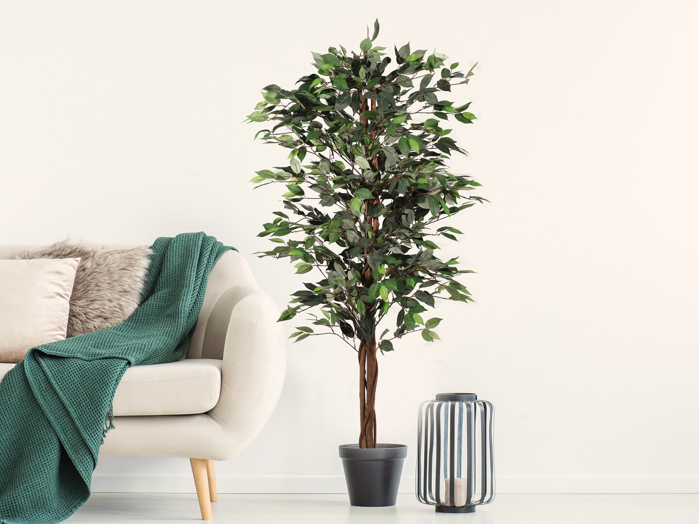 72&#x22; Artificial Ficus Silk Tree in Black Pot (2 Pack)