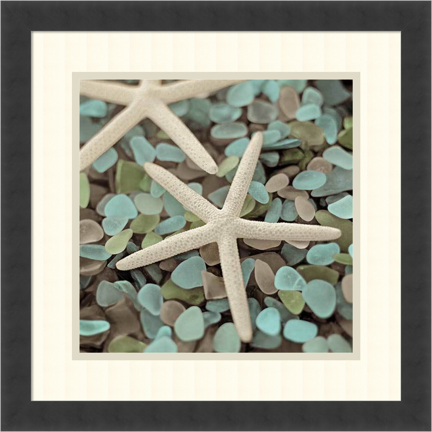 Aquatic 1 by Alan Blaustein Wood Framed Wall Art Print 18 in. W x 18 in. H