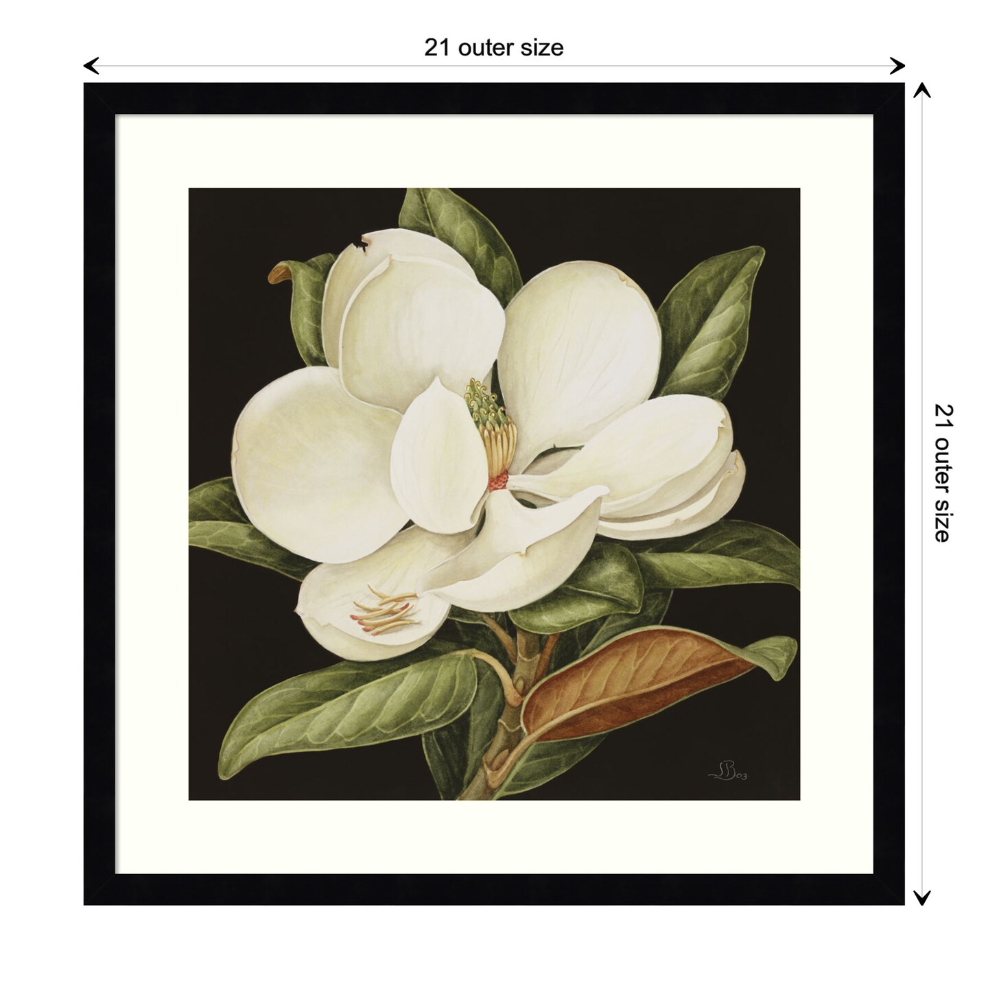 Magnolia Grandiflora 2003 by Jenny Barron Wood Framed Wall Art Print
