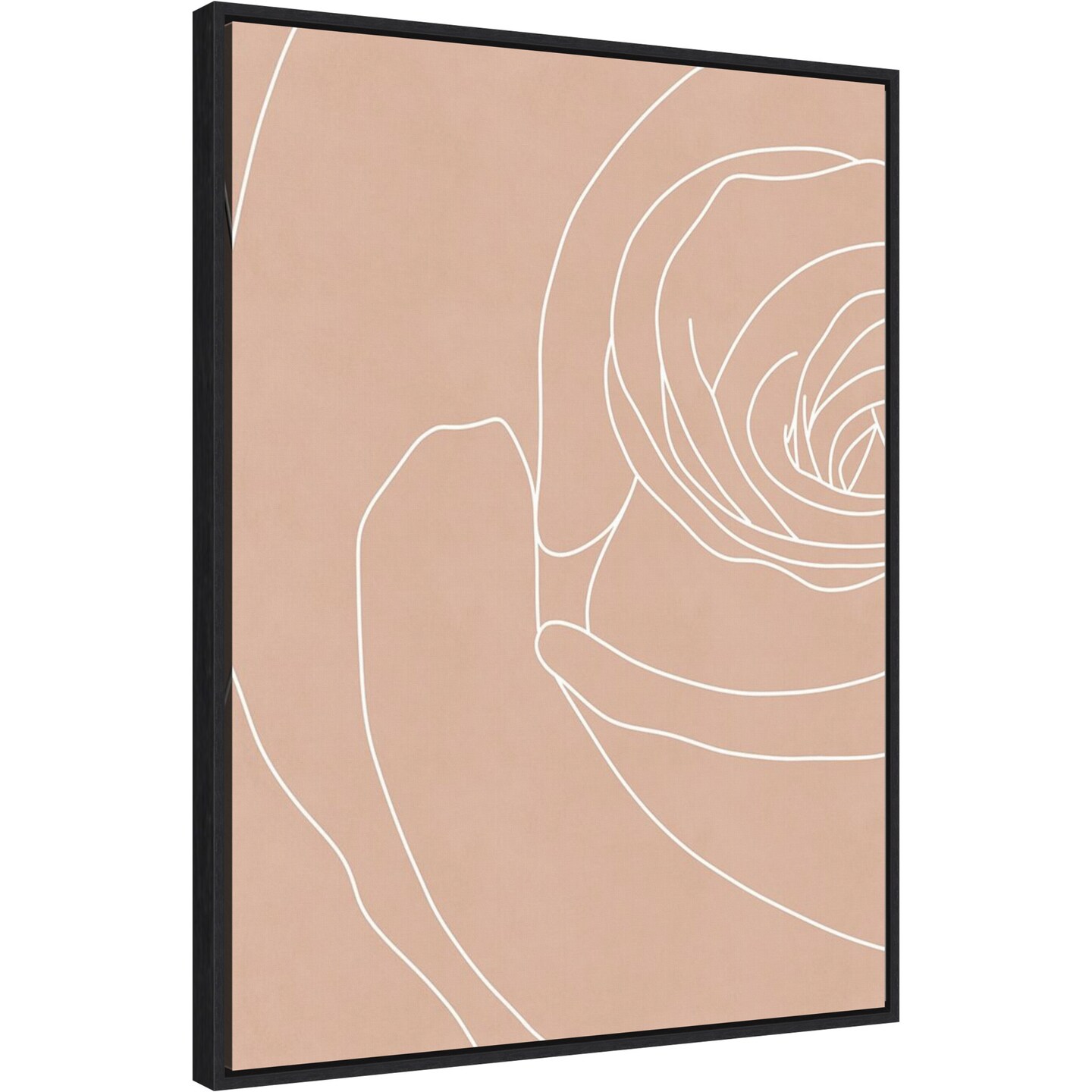 Blush Flowers III by Sarah Leonard Canvas Wall Art Print Framed