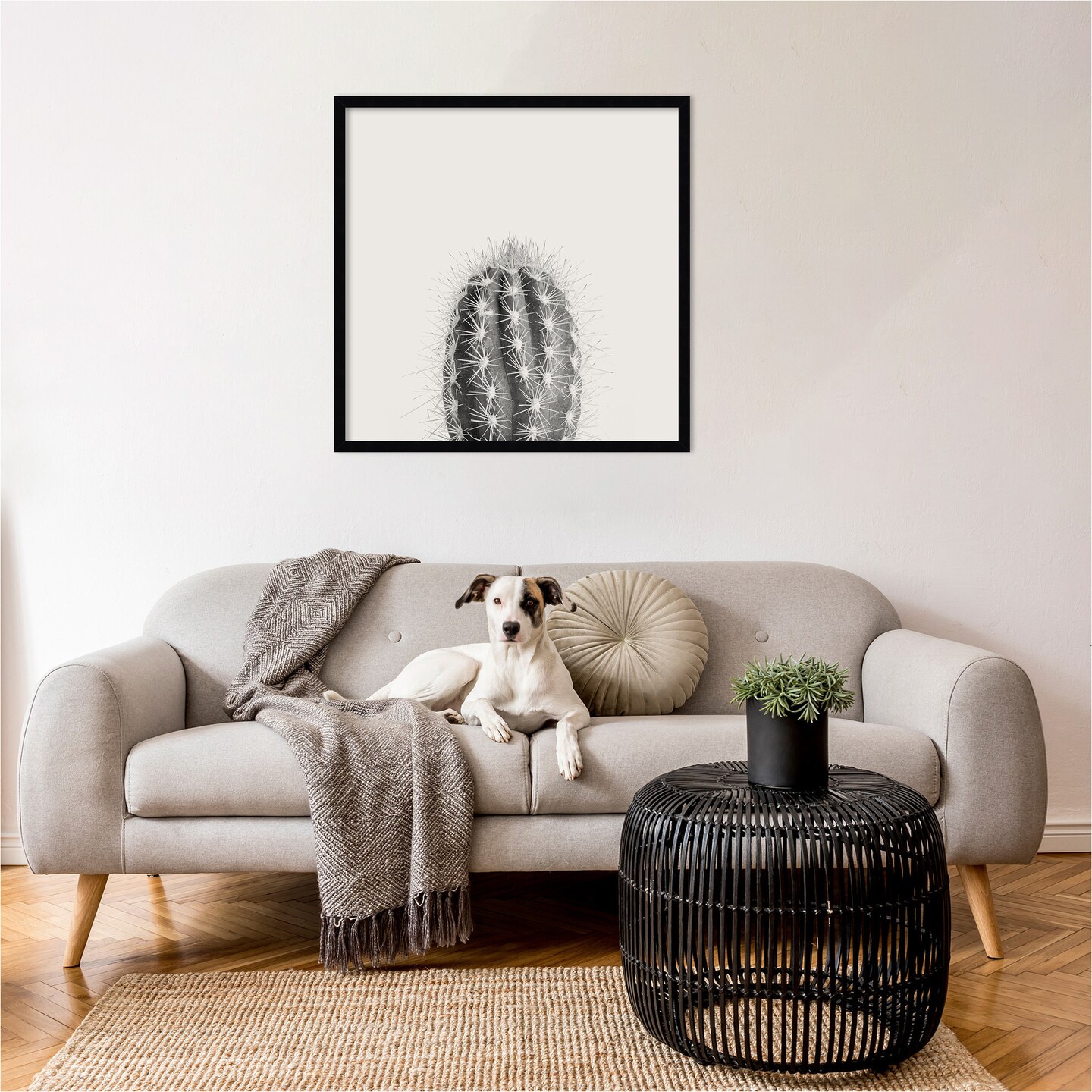 Haze Cactus Succulent Tall by The Creative Bunch Studio Wood Framed Wall Art Print