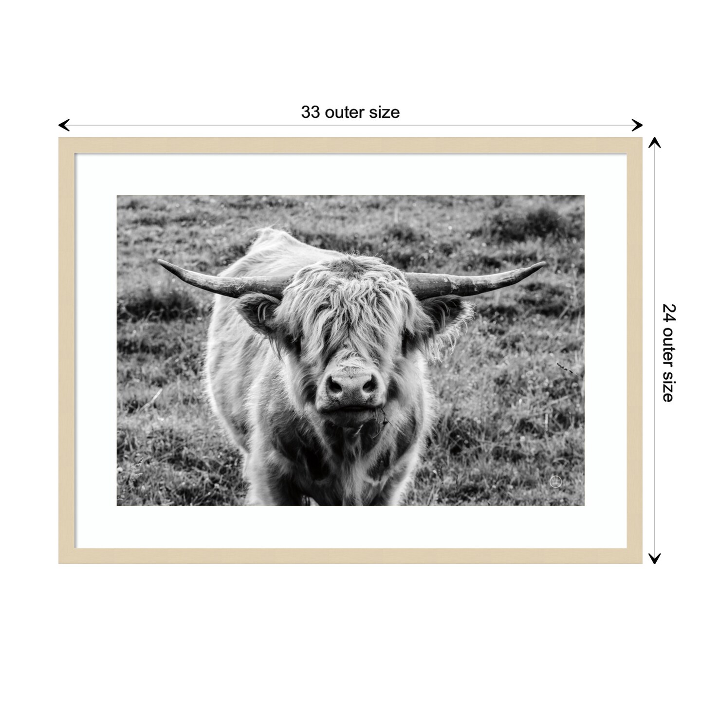 Highland Cow Staring Contest by Nathan Larson Wood Framed Wall Art Print