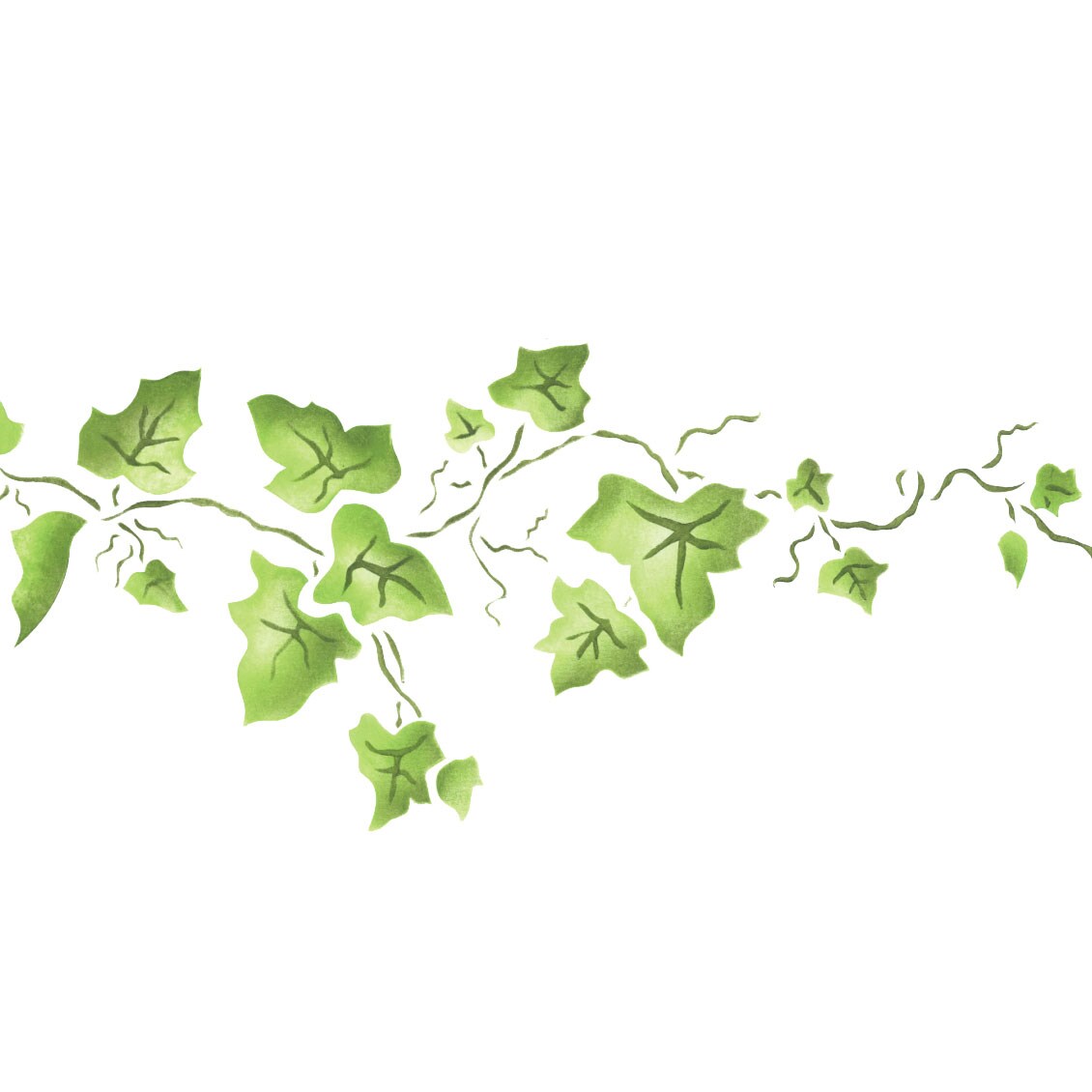 Small Ivy Wall Stencil Border | 041A by Designer Stencils | Floral Stencils |