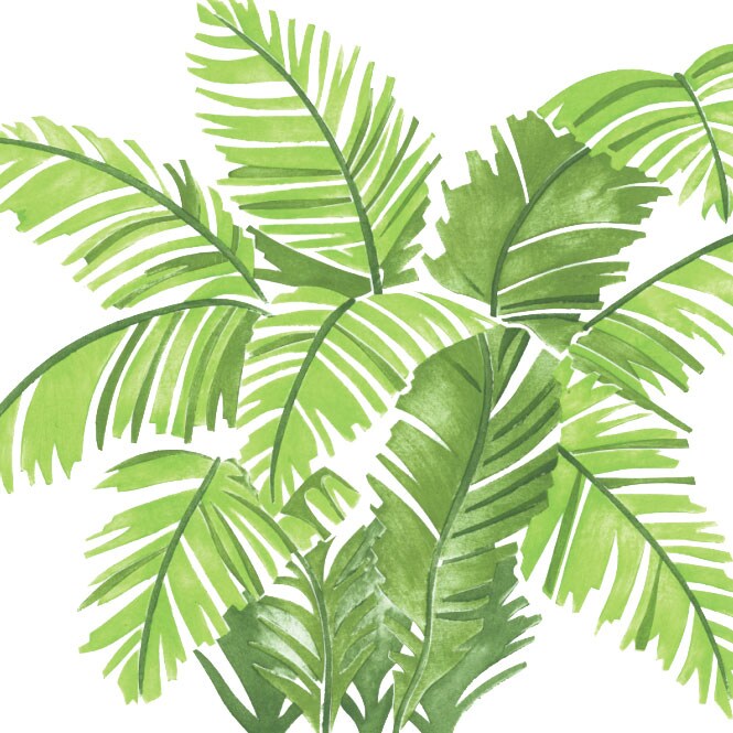 Palm Shrub Wall Stencil | 1738 by Designer Stencils | Animal & Nature Stencils | Reusable Art Craft Stencils for Painting on Walls, Canvas, Wood | Reusable Plastic Paint Stencil for Home Makeover | Easy to Use & Clean Art Stencil