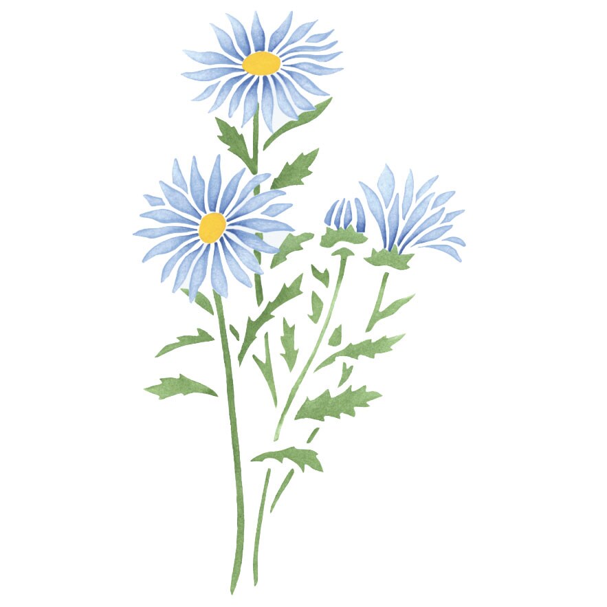 Aster Flower Wall Stencil | 2029 by Designer Stencils | Reusable|
