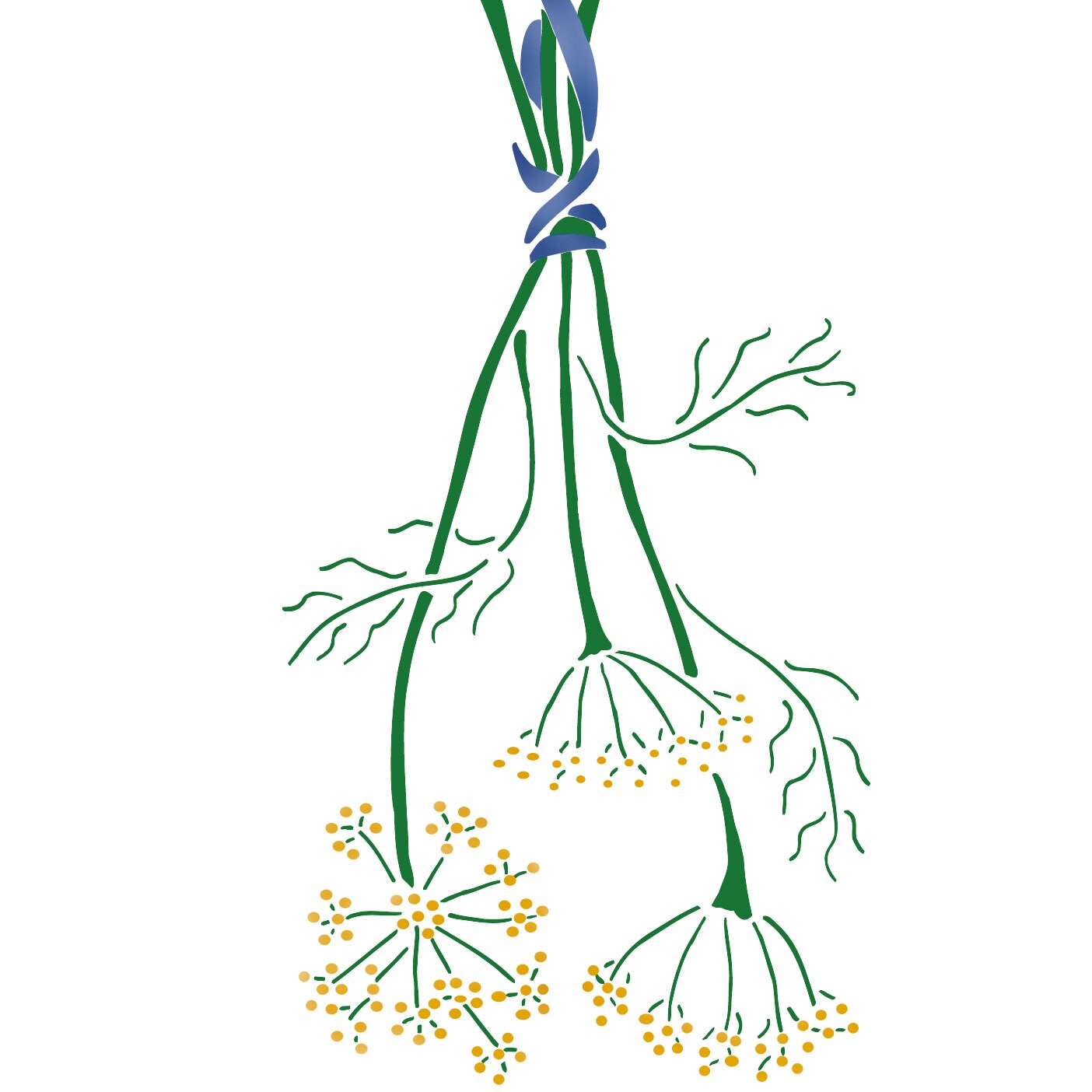 Hanging Dill Wall Stencil | 2198 by Designer Stencils | Reusable Art Craft Stencils for Painting |