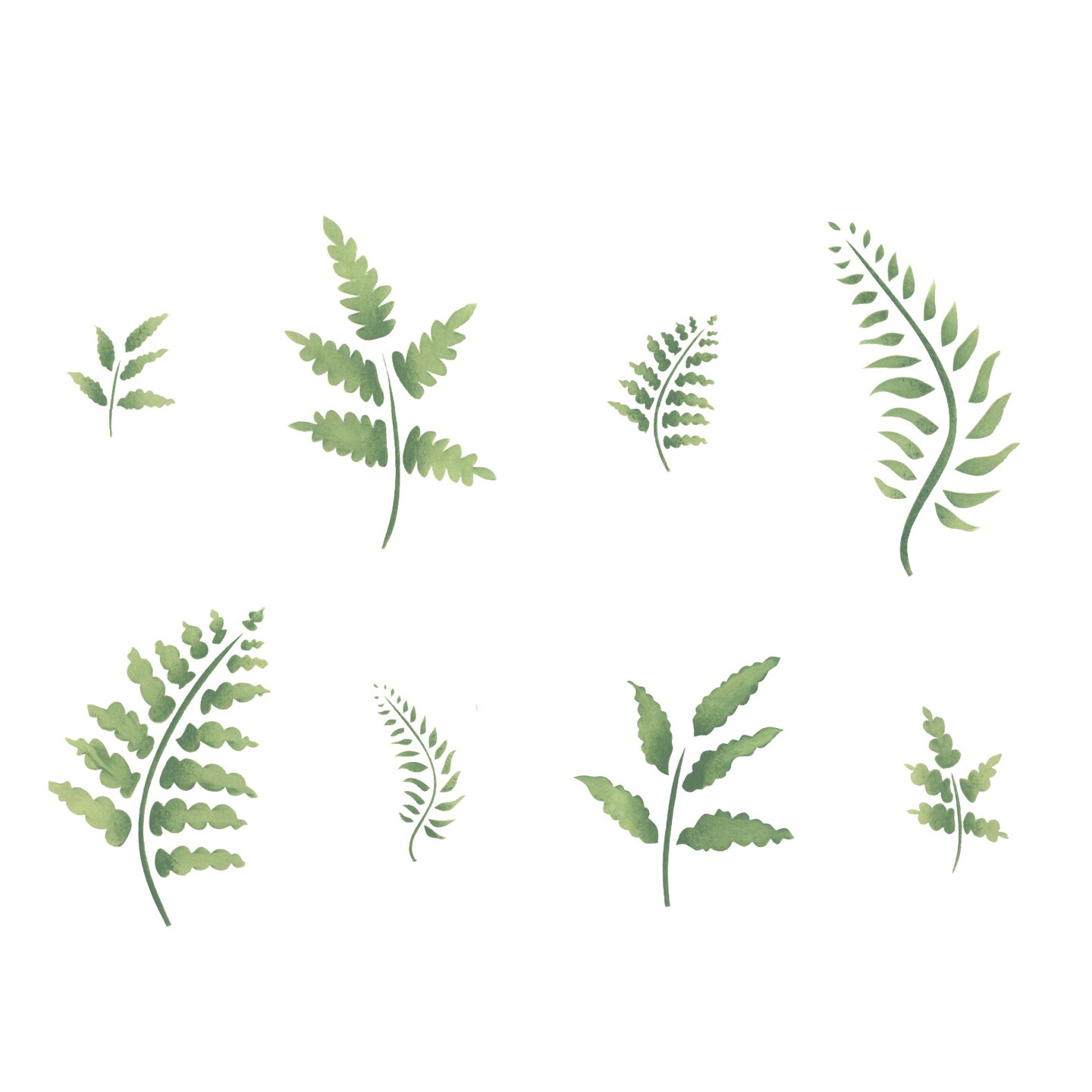 Eight Ferns Wall Stencil | 2343 by Designer Stencils | Floral Stencils | Reusable Art Craft Stencils for Painting on Walls, Canvas, Wood | Reusable Plastic Paint Stencil for Home Makeover | Easy to Use &#x26; Clean Art Stencil