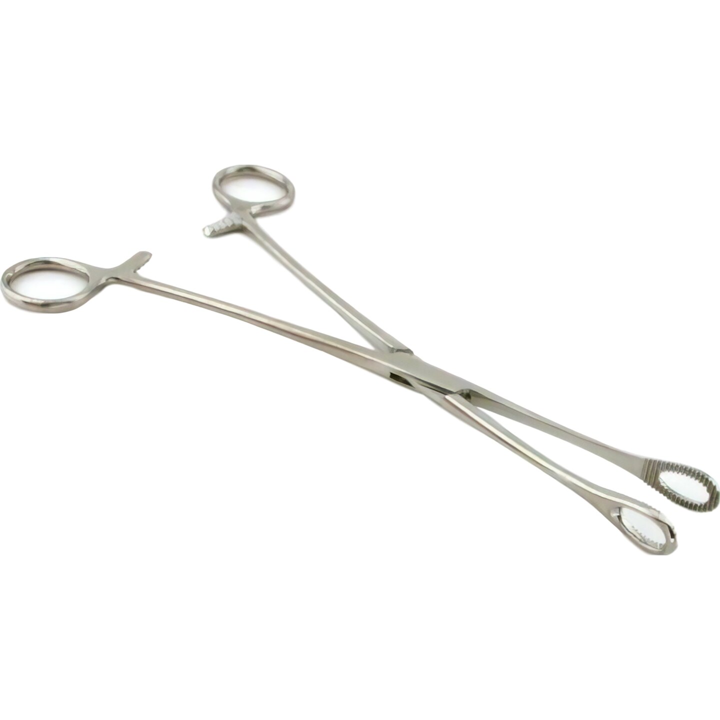 2 Pennington Sponge Forceps Healthcare Surgical Piercing Tools