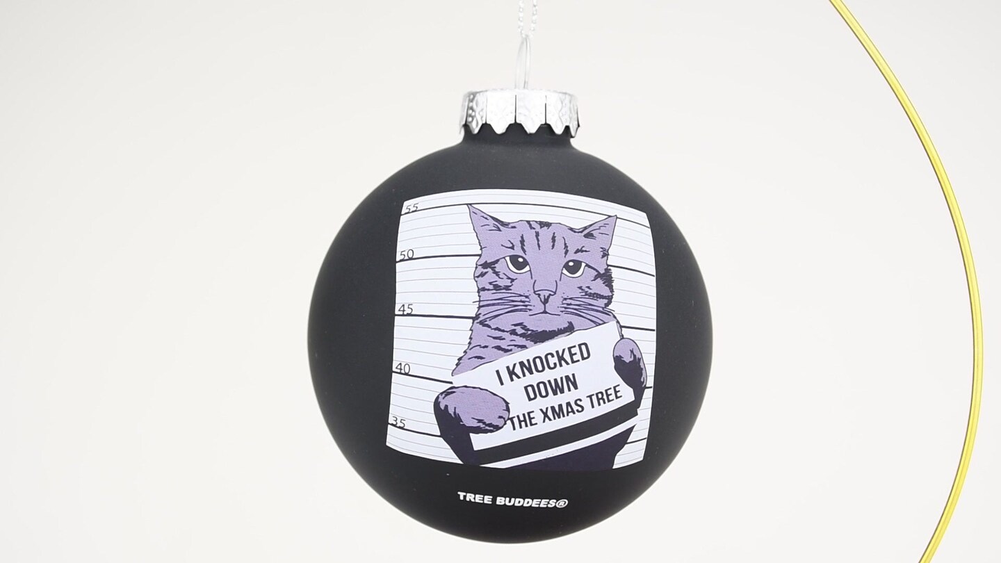 Cat Mugshot Glass Christmas Ornament