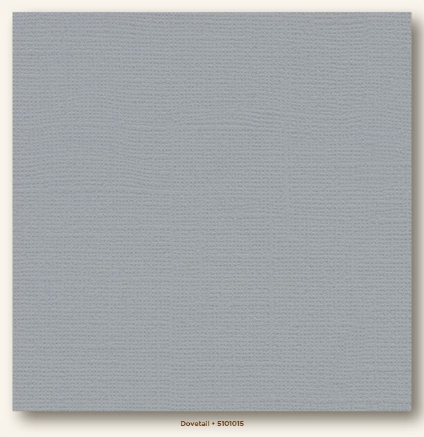 Dovetail Canvas Textured My Colors Cardstock Photoplay Michaels