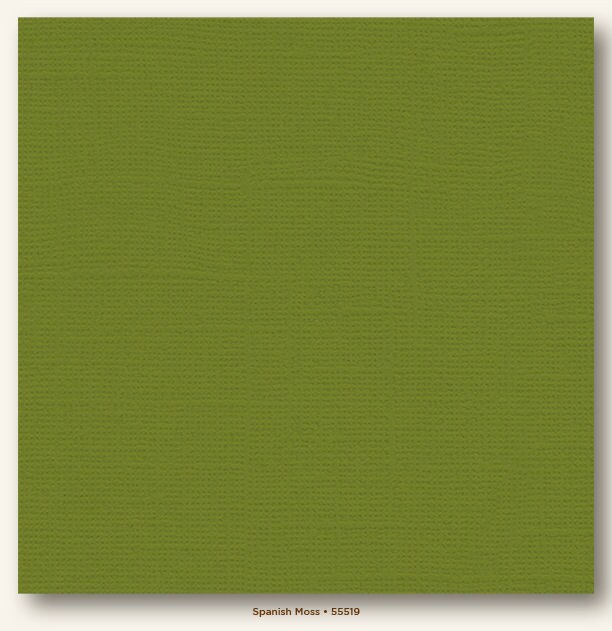 Spanish Moss Canvas Textured My Colors Cardstock Photoplay Michaels