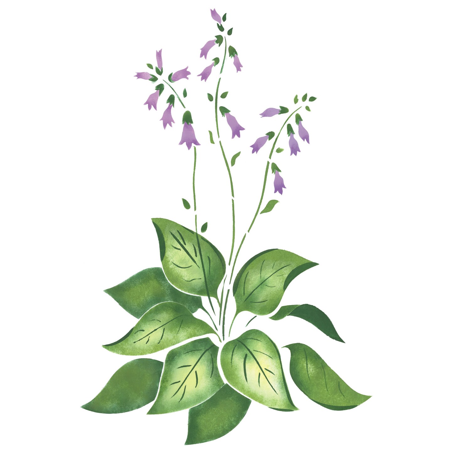 Large Hosta Wall Stencil | 1868 by Designer Stencils | Floral Stencils | Reusable Art Craft Stencils for Painting on Walls, Canvas, Wood | Reusable Plastic Paint Stencil for Home Makeover | Easy to Use & Clean Art Stencil