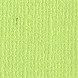 Limeade 12 x 12 Bazzill Cardstock