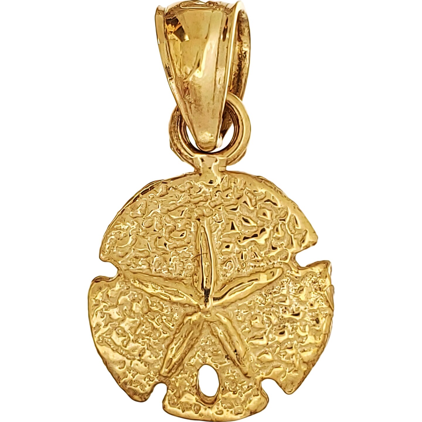 14K Gold Sand Dollar Charm 18&#x22; Chain Jewelry