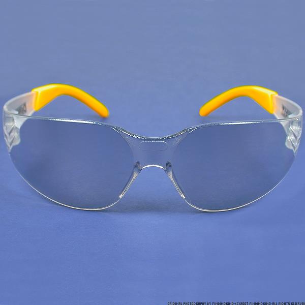 Dewalt DPG54-9C Protector Indoor/Outdoor High Performance Lightweight Protective Safety Glasses with