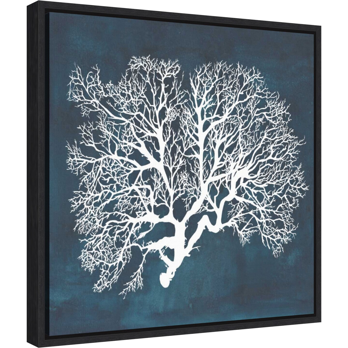 Inverse Sea Fan Coral III by Grace Popp Canvas Wall Art Print Framed