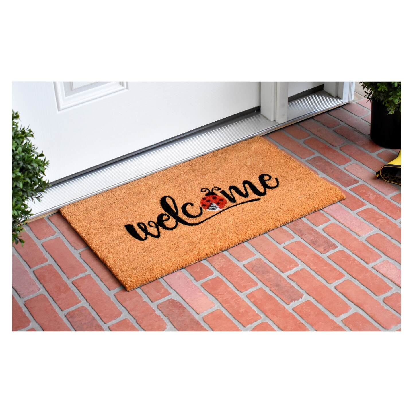 Welcome Ladybug Doormat