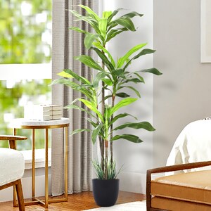 Dracaena Indoor Plant - Faux Plants Indoor, Silk Plants for Home Decor Indoor, Floor Plants for Living Room Decor - Faux Plants Indoor Tall, Floor Plant, Fake Plants for Living Room Decor - 5 Feet