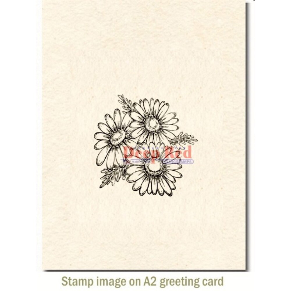 Deep Red Stamps Daisies Rubber Cling Stamp 2 x 2 inches
