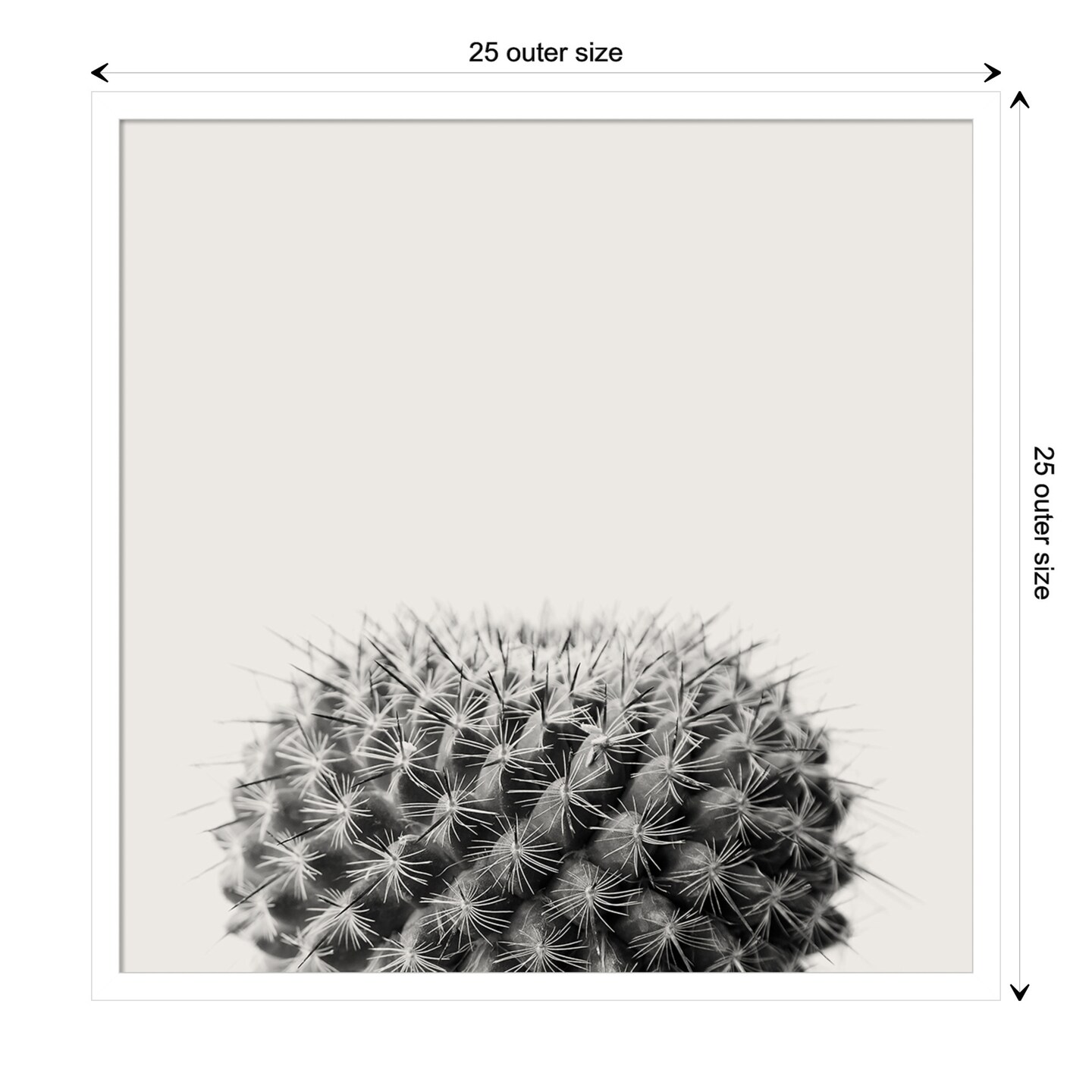 Haze Cactus by The Creative Bunch Studio Wood Framed Wall Art Print, Color:  Svelte White, Size: 25 x 25 | Michaels