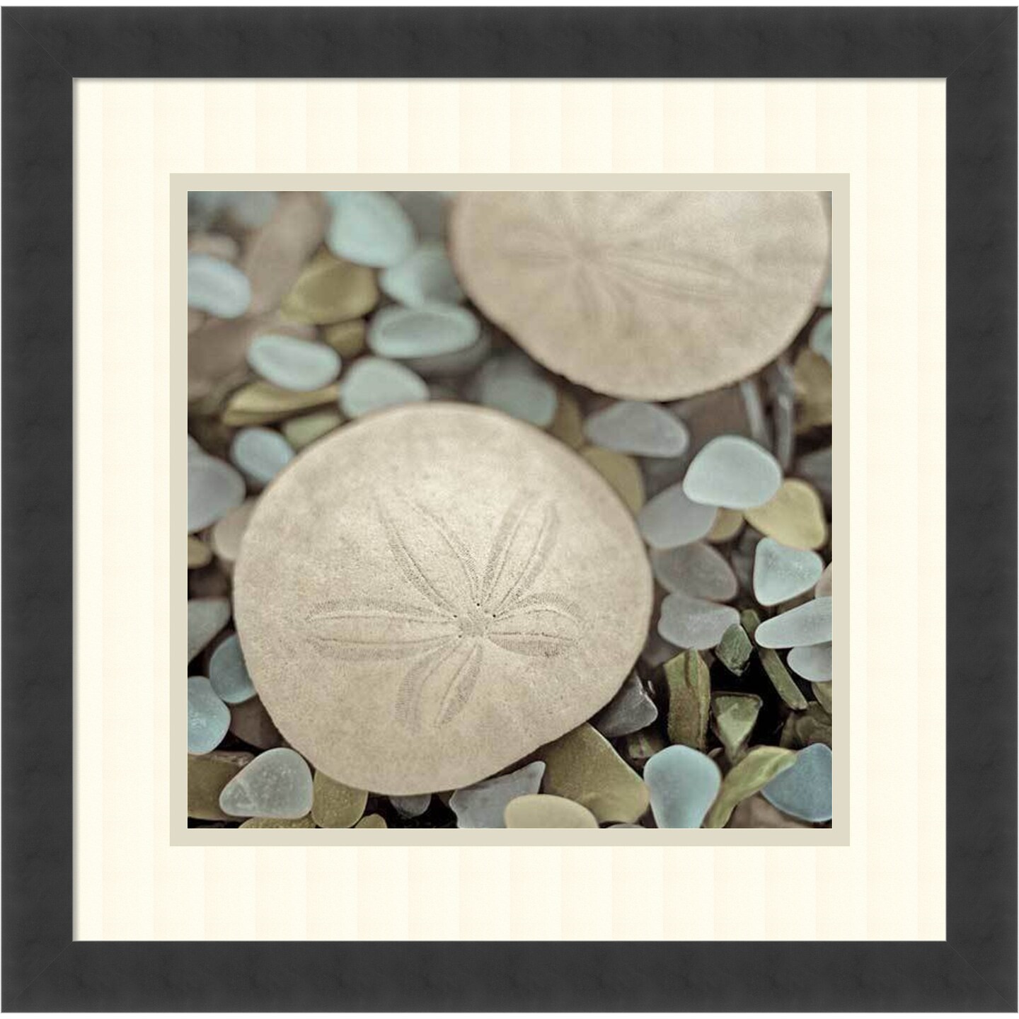 Aquatic 2 by Alan Blaustein Wood Framed Wall Art Print 18 in. W x 18 in. H