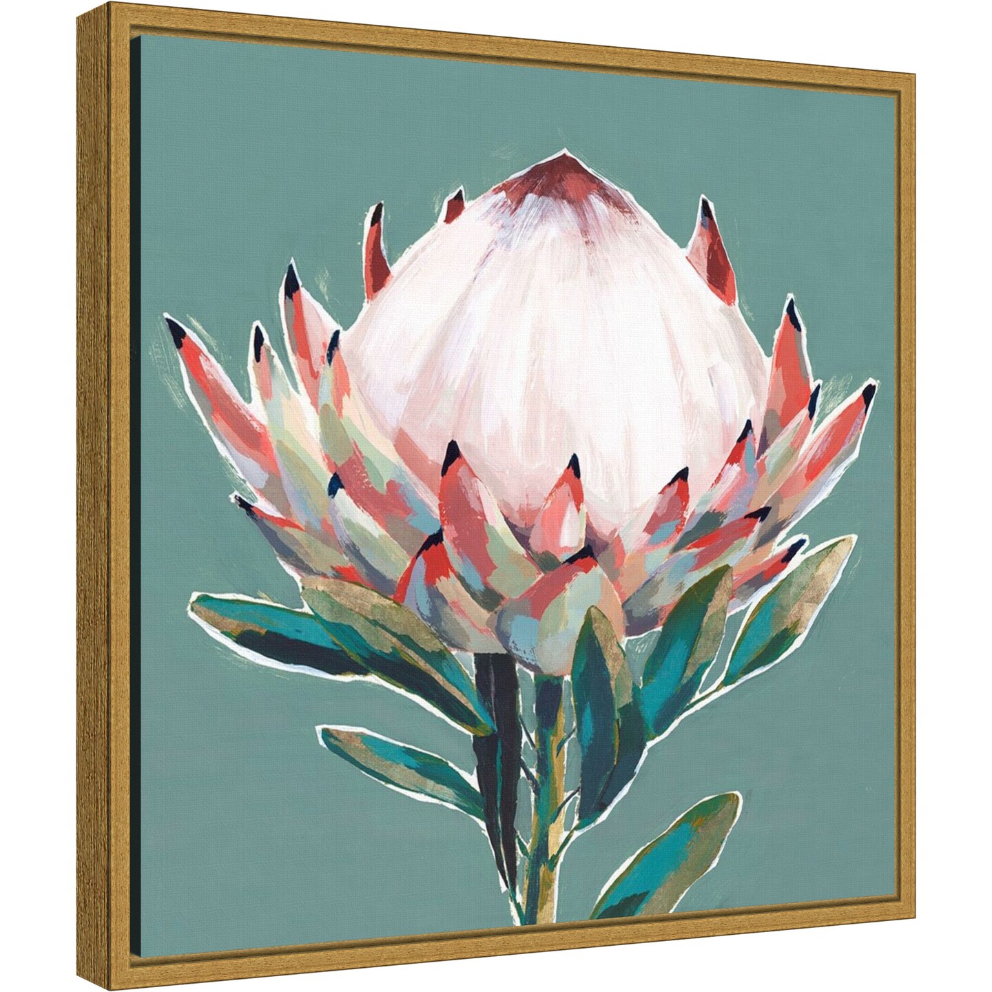 新素材新作 Blooming Pink King Protea Flower by Isabelle Z 16-in. W x 16 絵画