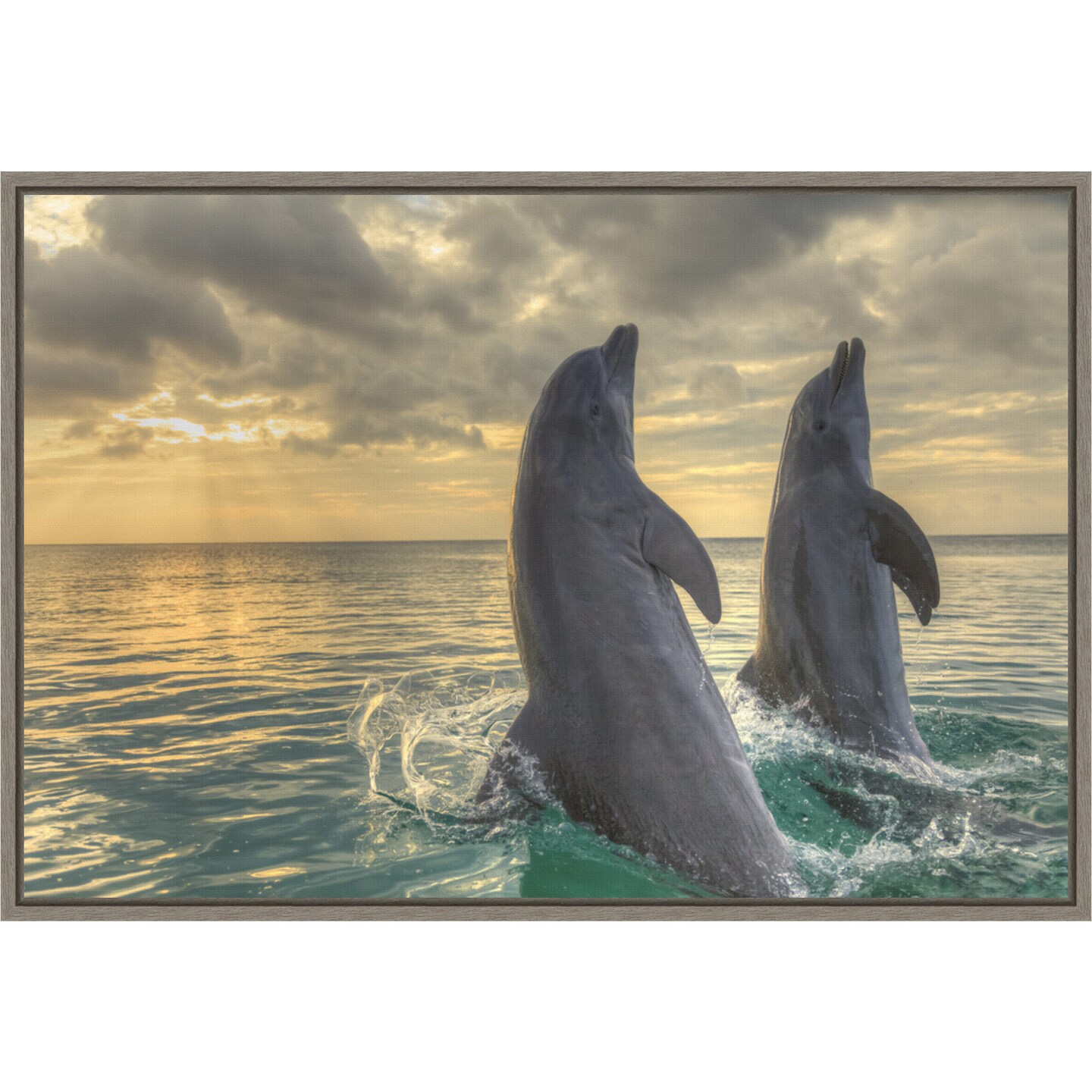 Dolphin Dance by Stuart Westmorland Danita Delimont 23-in. W x 16-in. H. Canvas Wall Art Print Framed in Grey