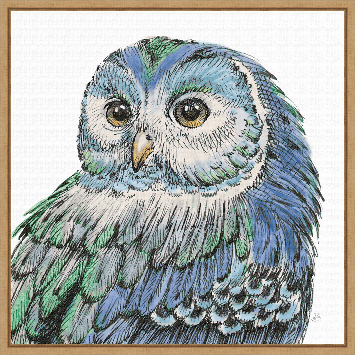Beautiful Owls I Peacock Crop by Daphne Brissonnet 16-in. W x 16-in. H. Canvas Wall Art Print Framed in Natural